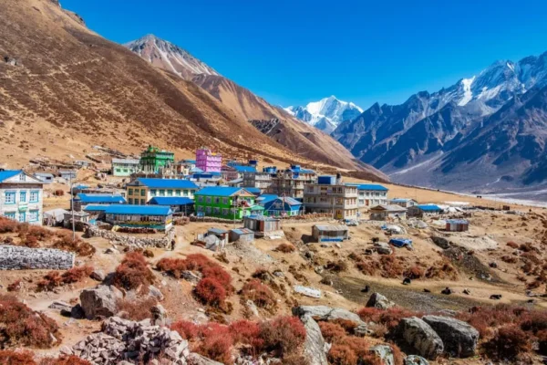 Langtang Valley Trek and Yala Peak 5600m. - Image 2